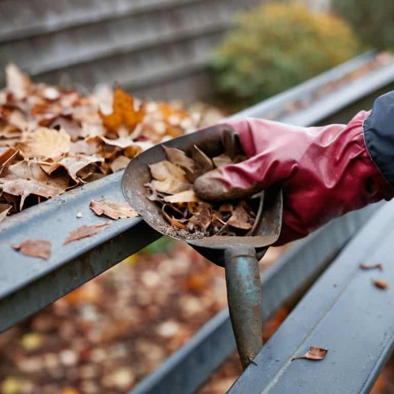 Gutter Cleaning Odyssey Tools