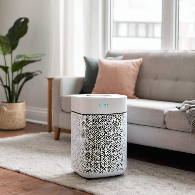 a review of the levoit core 300s